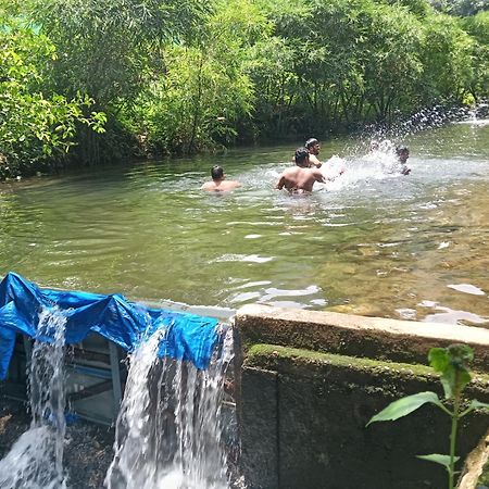Tharayil Farm Stay Vagamon Exteriör bild