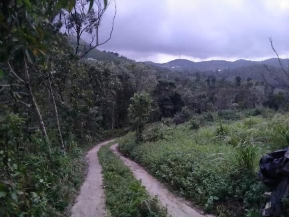 Tharayil Farm Stay Vagamon Exteriör bild