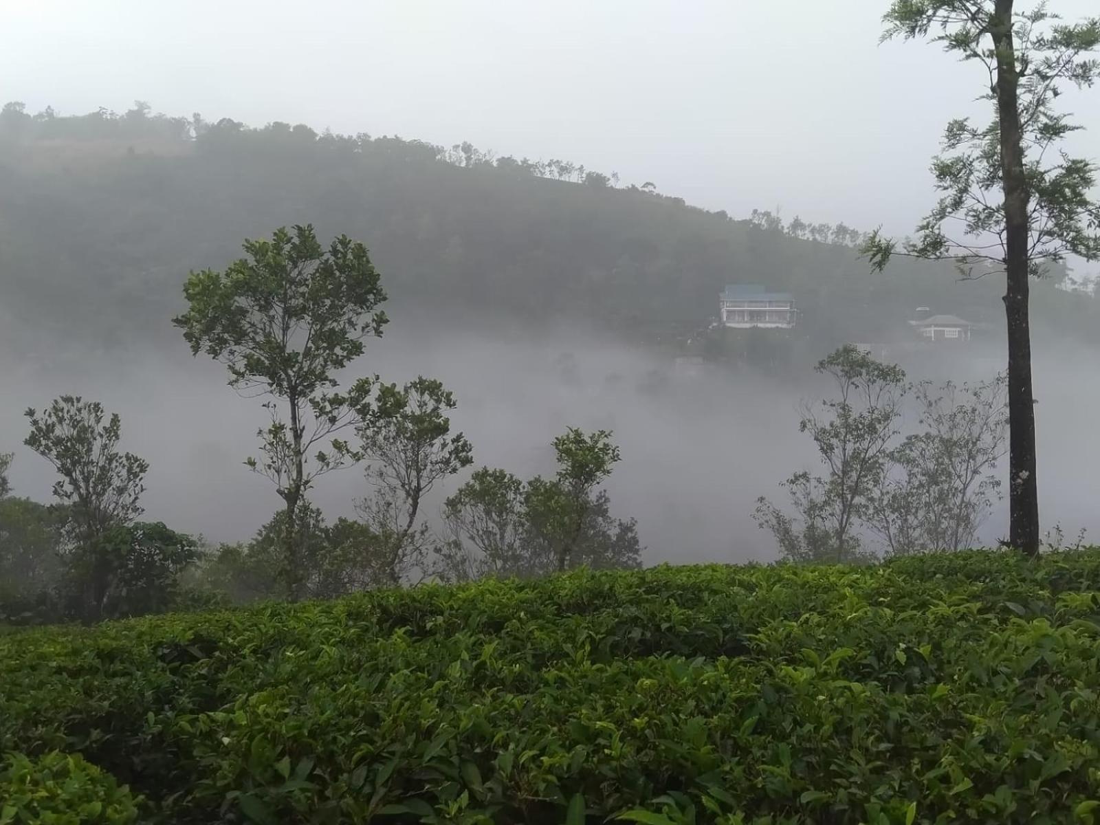 Tharayil Farm Stay Vagamon Exteriör bild