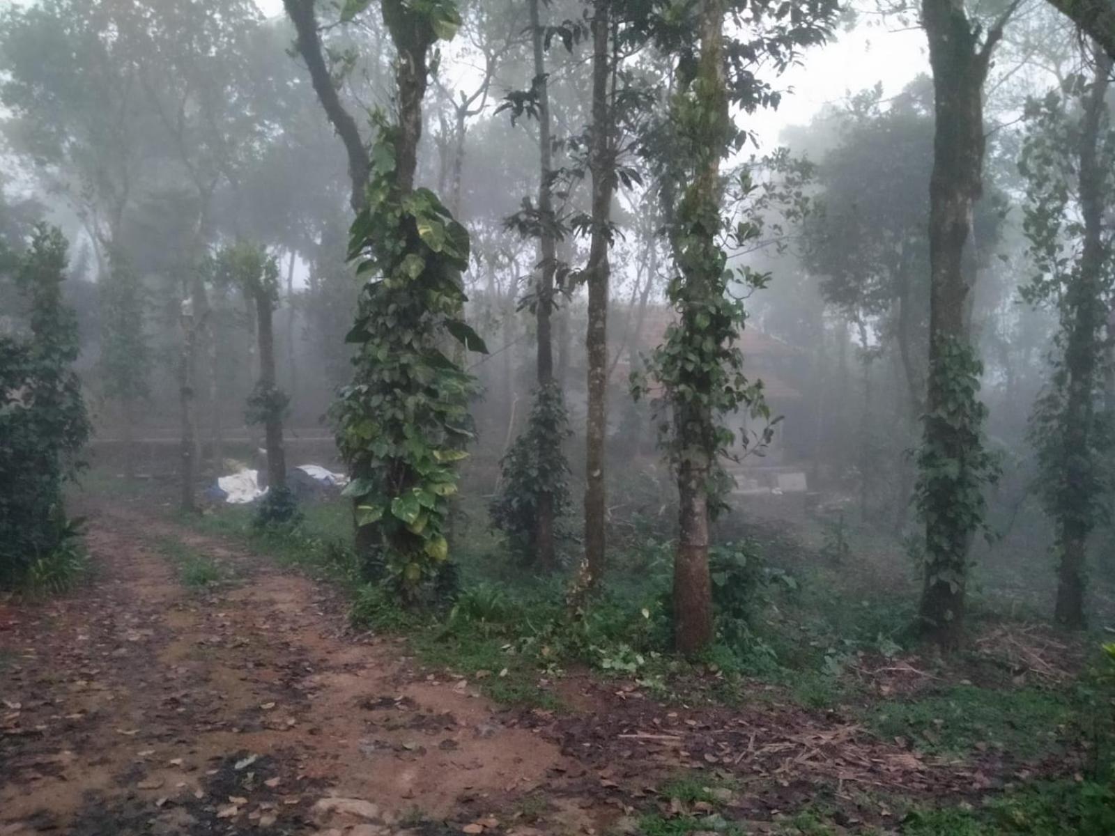 Tharayil Farm Stay Vagamon Exteriör bild