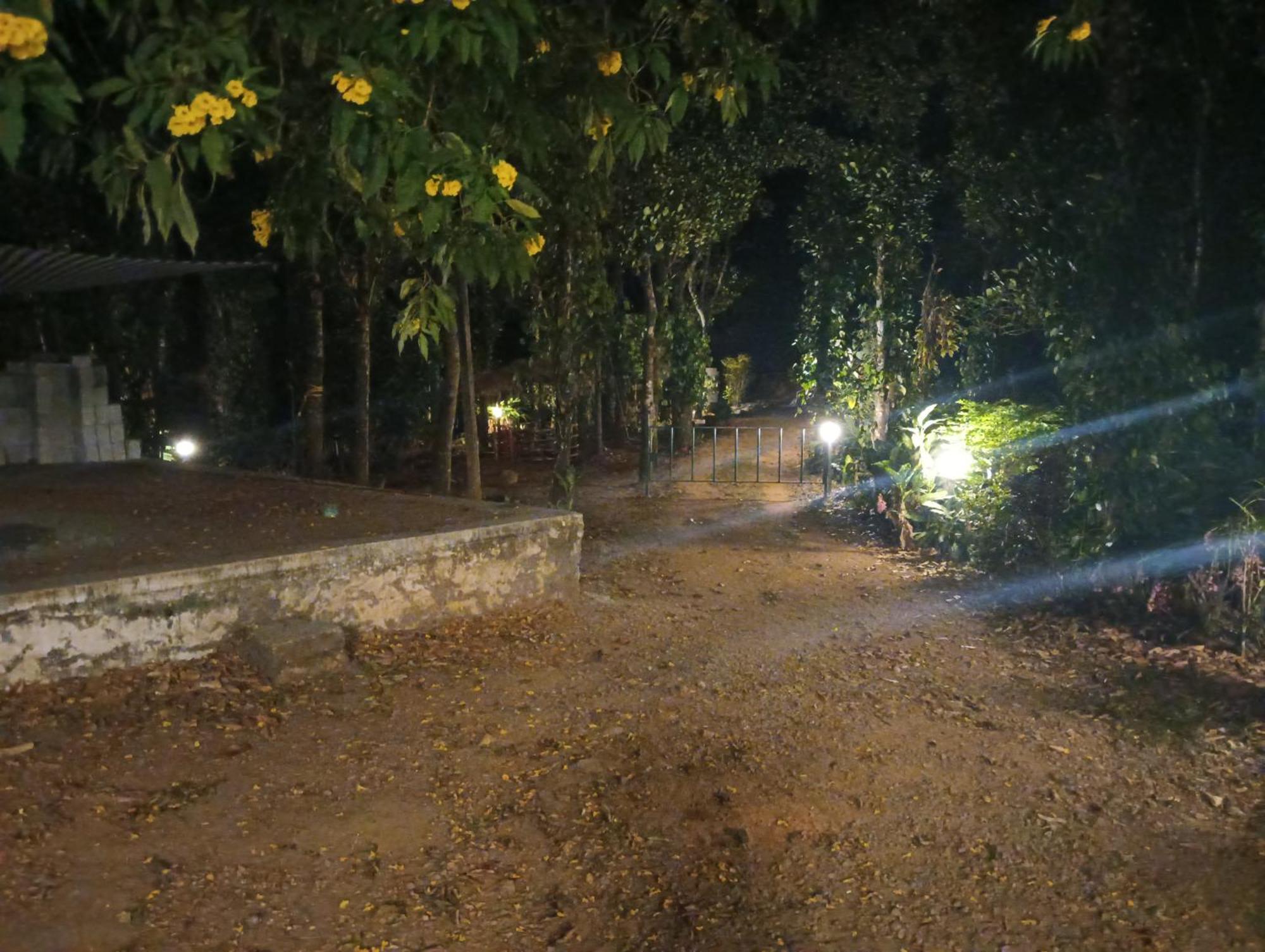 Tharayil Farm Stay Vagamon Exteriör bild