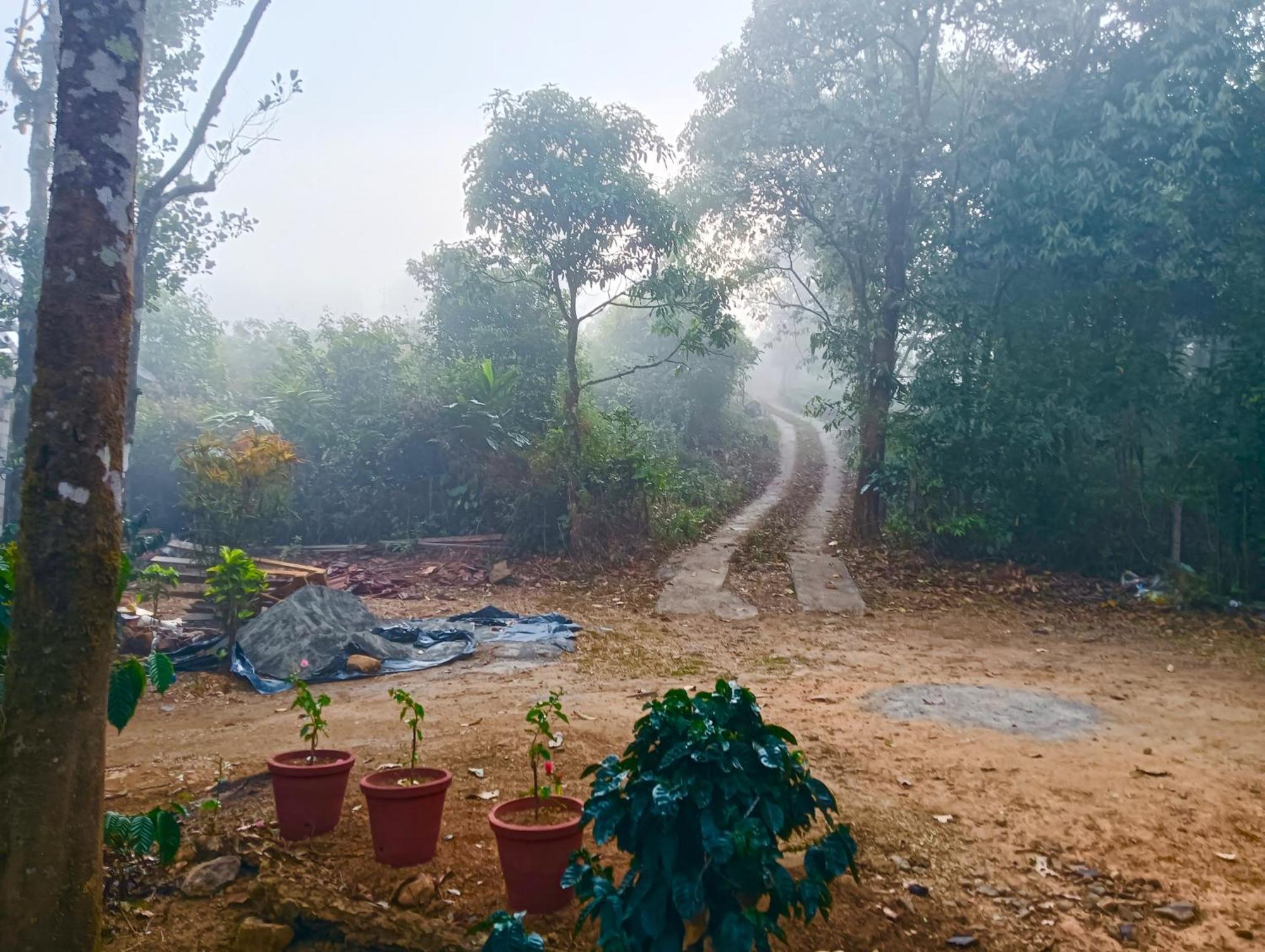 Tharayil Farm Stay Vagamon Exteriör bild